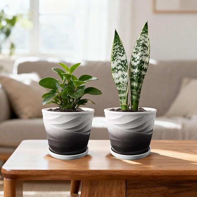 Ceramic Plant Pots,6 Inch,Set of 2,Planters with Drainage Hole and Saucer,Flower pots for Indoor Plants,Modern Design(6.7 in Diameter)