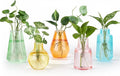 Mkono Propagation Vases for Plants, Set of 5 Small Glass Jar Planters for Hydroponic Cutting Flowers, Plant Station Bud Vases for Centerpieces Home Office Decor Gift, Colorful (Plants not Included)
