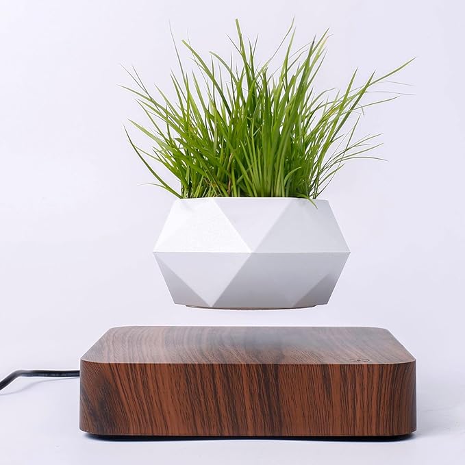 Levitating Plant Pot, Magnetic Floating Planter Levitating Plant 360° Auto Rotating Display for Bonsai, Air Plants Mini Flowers Cool Floating Desk Decor for Office, Living Room (Dark Brown)
