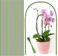 20Pcs Plant Stakes,Plant Sticks, Garden Bendable Single Stem Plant Support Stakes Tall for Indoor and Outdoor Plants,Potted Plants,Flowers,Orchid,Tomato-23.6 Inches Green