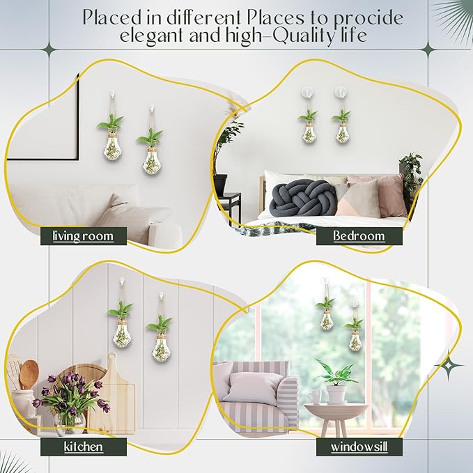 Baderke 12 Sets 3.15" Plastic Window Propagation Stations Hanging Propagation Vases Plant Test Tubes with Suction Cup & Traceless Nail & Brush Clear Wall Jars for Office Home Garden Decor Lover Gift