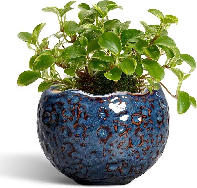Ceramic Pots for Plants - 4 Inch Plant Pots for Indoor Outdoor, Small Planter with Drainage Hole, Unique Flower Pot, Decorative Modern Round Planter, Office Decor, Home Gifts, Retro Blue