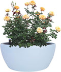 Vencer 11 Inch Plastic Round Self Watering Planter,Water Indicator,Modern Decorative Planter Pot for All House Plants Flowers, Herbs, Vegetables, Tropical,Ice Blue,VF-048B