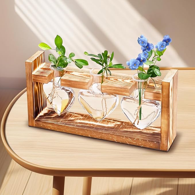 Wooden Base Glass Vase - Plant Holder & Propagation Station for Hydroponic Plants, Desktop Terrarium with Wooden Stand, Stylish Home & Office Décor, Great Gift for Plant Enthusiasts (YMFAX-3B)