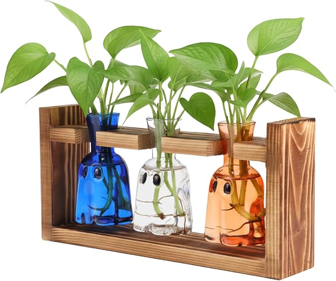 Mimorou Plant Propagation Stations Plant Terrarium with Wooden Stand Hydroponics Glass Vase Planter for Home Office Garden Table Decoration(Ghost)