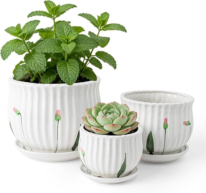 SHECIPIN Plant Pots for Indoor Plants Set of 3, 4+5.3+6.7 Inch Ceramic Plant Pots with Drainage Hole，Cute Garden Pots Succulent Pots with Saucer