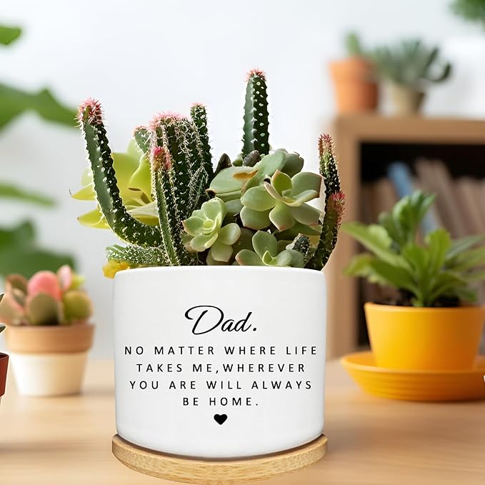 Succulent Planter Pot for Dad - Cute 3 Inch Plant Dad Gift from Daughter or Son with Bamboo Tray, Best Fathers Day Birthday Gardening Gifts for Dad, Grandpa, Husband