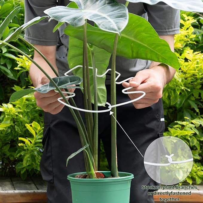 YOHSNOR 5PCS Monstera Plant Stem Support White 9 * 7.6in - Durable Stake Holder for Indoor Climbing Plants, Adjustable Installation Ideal for Fishbone Cactus and Plant Enthusiasts