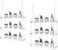 2-Pack Adjustable Clear Acrylic Plant Stands for Windows – 16" Transparent Hanging Window Plant Racks for Indoor Garden, Herbs, or Home Decor in Kitchen & Bedroom