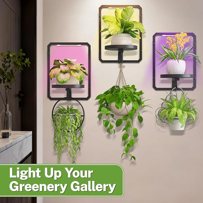 iDavosic.ly Wall Plant Picture Frame Holder Set of 3 with 3 Grow Light for Indoor, Metal Stand with Hanging Hooks, Space Saving Floating Flower Display Decor (Pots/Chains/Plants Not Included)