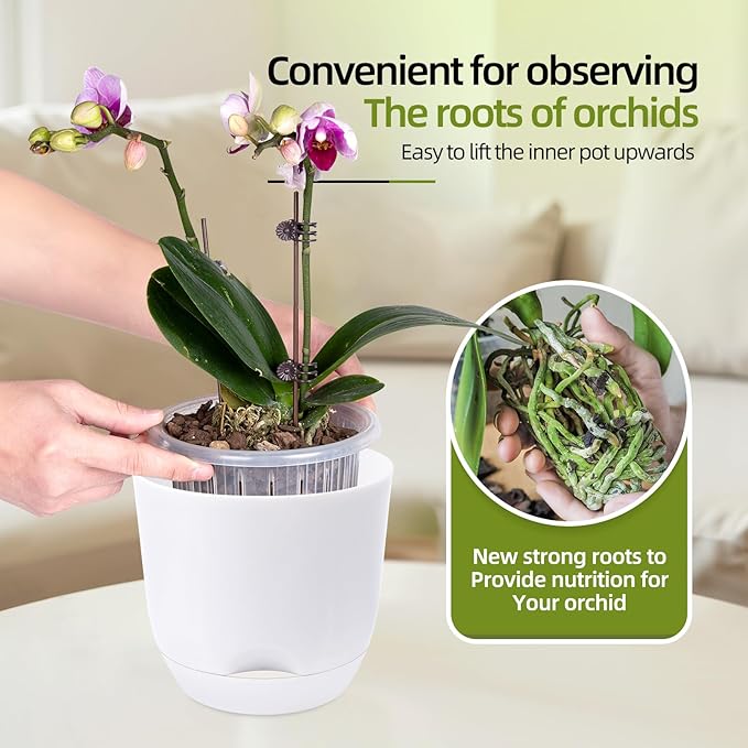 QCQHDU 2 Pack 7.2 Inch Orchid Pots with Holes for Repotting, Double-Layer and Self Watering Orchid Pot with Good Air Circulation