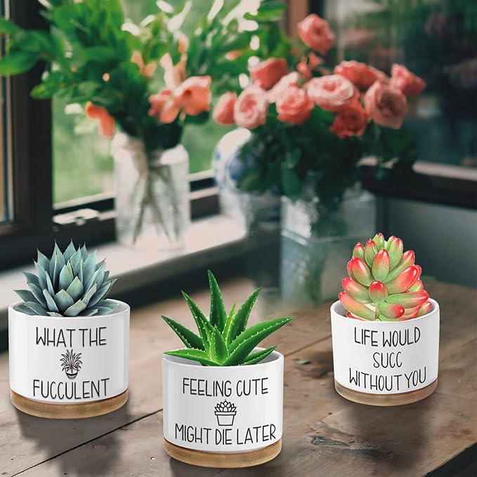 Funny Plant Pots, 3.15 inch Ceramic Flower Succulent Pots with Drainage Holes and Saucers, Cute Cactus Planters for Indoor Plants, Birthday Gifts for Women, Pack of 3 - Plants Not Included