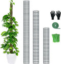 Metal Moss Pole, 60"/40"/24" Moss Poles for Plants Monstera, Stackable Sphagnum Moss Pole, Plant Poles for Climbing Plants Work with Sphagnum Moss(1 Each of 60" 40" 24")