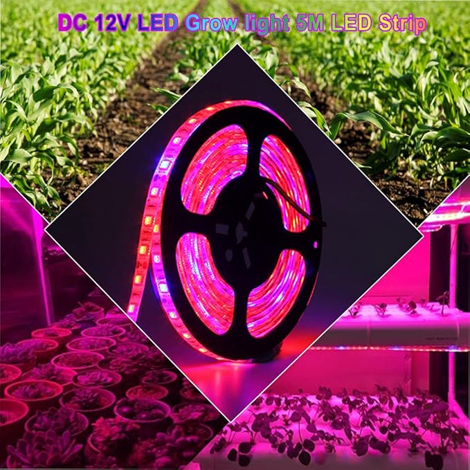 DC 12V LED Grow Light 5M LED Strip Light Full Set Flexible Tape 5050 LED Phyto Plant Growth Lamps for Greenhouse Hydroponic Plant Light (4：1 Full Set, IP65 Waterproof)