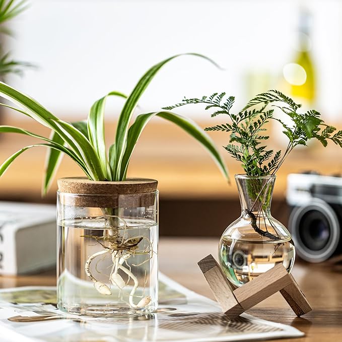 Plant Propagation Station, 2 Style Glass Planter Terrarium Set for Hydroponic Plants | Home Office Tabletop Decor, Gardening Gifts for Women, Mom, Plant Lovers (6)