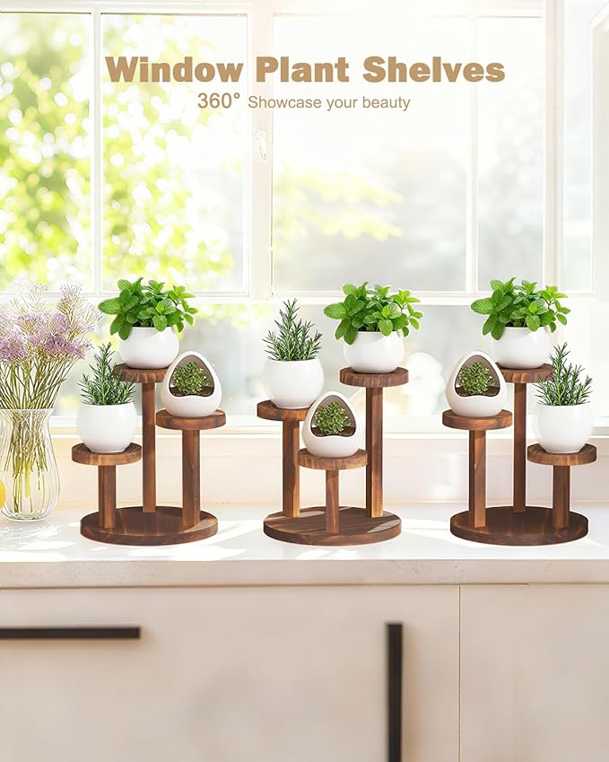 3 Tier Table Top Plant Stand Wooden Round,Small Window Sill Plant Shelf Indoor,Mini Desk Flower Succulent Stand Holder Rack,Little Display Stand for Desktop,Windowsill,Countertop,Kitchen,Oil Painting
