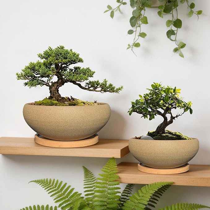 MUZHI 2 Pack Round Unglazed Ceramic Bonsai Pot with Bamboo Tray 8"+6.5", Large Rough Pottery Succulent Planter with Drainage Hole