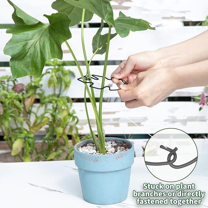 Yohsnor Monstera Plant Stem Support Set - 5pcs 4.13x2.95 inches Durable Supports for Indoor Climbing Plants - Easy-to-Use Stabilizers for Healthy Growth and Elegant Garden Decor