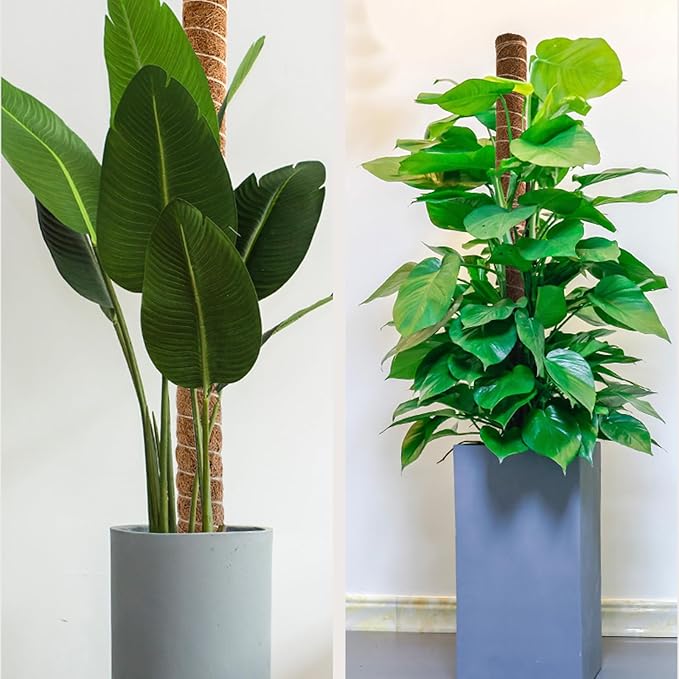 4 Pcs Moss Pole Monstera Plant Support, 15.75" Plant Support Stakes for Indoor Plants, Stackable Moss Poles Sticks Plant Poles for Climbing Plants Garden Potted Plants Pothos + Accessories