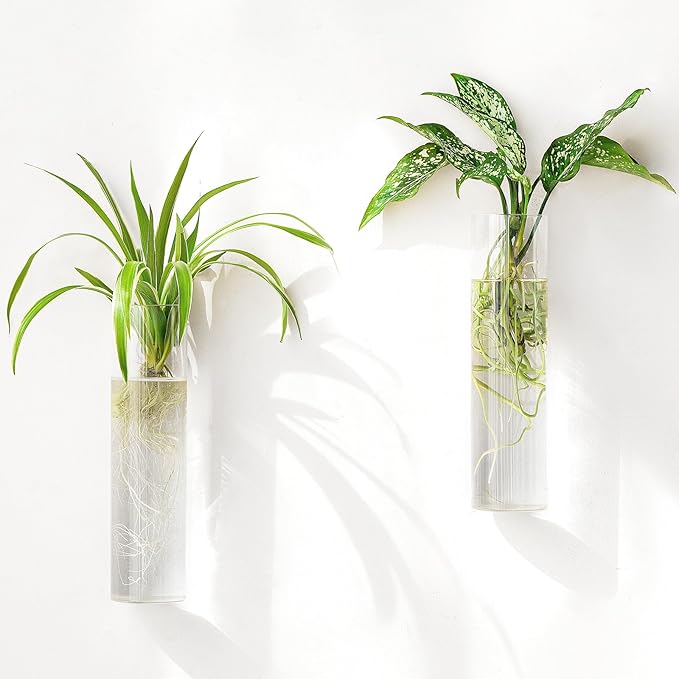 Mkono Propagation Station Wall Planter Hanging Glass Tubes Flower Vase for Hydroponics Plants, Bathroom, Home Office Living Room Decor Gift, Cylinder Set of 2(Plants not Included)