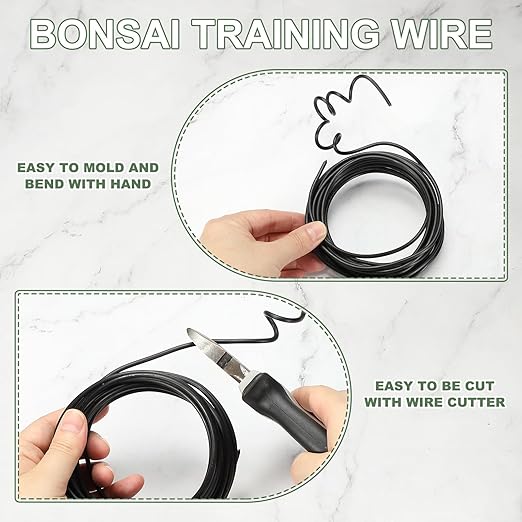 Bonsai Training Wire, 1mm x 16.4 ft Anodized Aluminum Floral Plant Training Wire Bendable Metal Stems Accessories for Gardening Branch Fixing Crafts (Black)