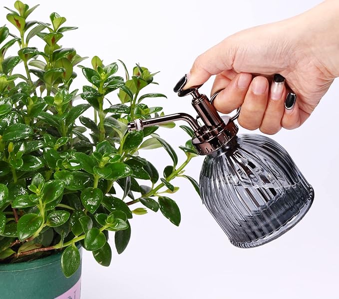 Glass Plant Mister, 6.5" Green Glass Water Spray Bottle with Gold Top Pump, Small Plant Sprayer for Indoor Outdoor Houseplants