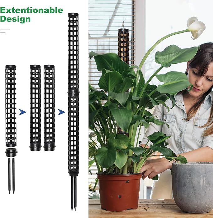LangRay Moss Pole for Climbing Plants Monstera, Indoor Plant Supports, Plastic Moss Stick, Plant Stake for Garden, Extension Aid Climbing Rob (Black, 6pcs 10inch)