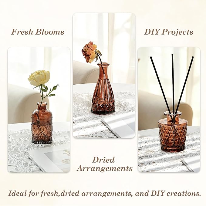 TBWIND 12-Piece Glass Bud Vase Set – Small Caramel Coffee Brown Etched Glass Vases with Unique Shapes and Weighted Base for Windowsills, Bathrooms, and Table Centerpiece Décor