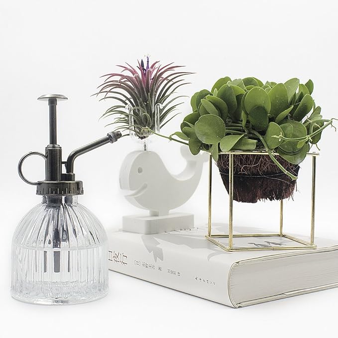 Glass Plant Mister Water Spray Bottle, 200 ML Glass Plant Spritzer Mister Bottle, Vintage Style Glass Succulent Watering Bottle with Top Pump, Plant Sprayer Mister for Indoor Plants - Clear