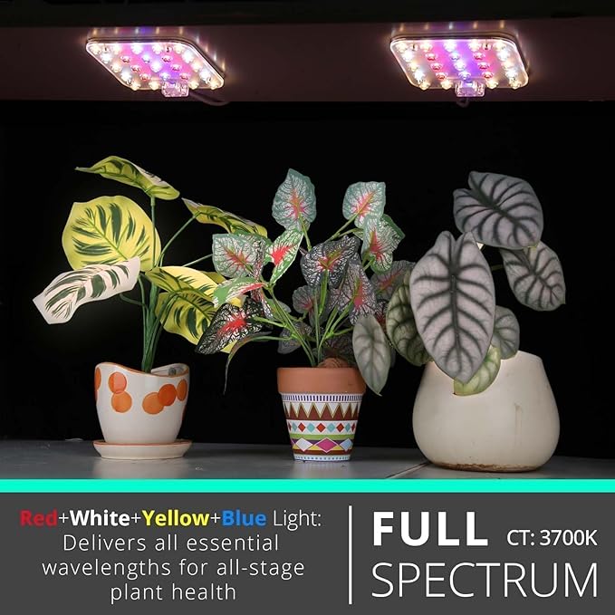 DOMMIA Full Spectrum LED Grow Light for Indoor Plants, 2 Panels 10W with 6/12/16h Timer Dimmable Plant Lights for Flower Veg Plant Growth USB, Pinkish White, 1-Pack