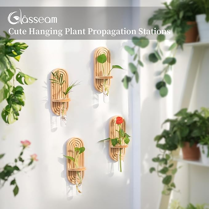 Glasseam Propagtion Stations for Wall Decor: 4pcs Boho Hanging Glass Propagation Vases for Plants and Flowers - Indoor Wood Wall Planter with Test Tube for Living Room Entryway Office Home Decor