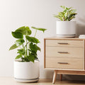 LE TAUCI Ceramic Plant Pots, Set of 2, 8+10 Inch Plant Pots Indoor with Drainage Hole & Saucer, Sturdy Planters for Indoor Plants, Modern Minimalist Decor for Snake Plant, Monstera, White
