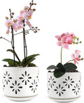 EFISPSS Orchid Pot 5+6 Inch, Ceramic Orchid Pots with Holes, Enhance Good Ventilation and Drainage, Orchid Pots Indoor/Outdoor Plants or Repotting -White