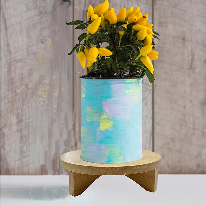 Short Round Wooden Plant Stand Indoor Desktop Flower Pedestal Stand Wood Decor Risers for Small Plants Display(7.6 Inch)