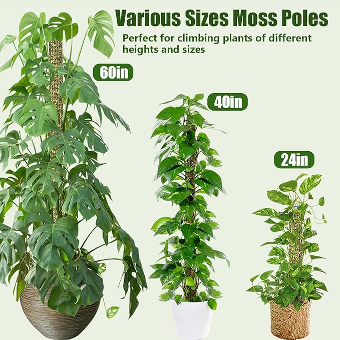 6 Pack Metal Moss Pole, 60"/40"/24" Moss Poles for Plants Monstera, Stackable Sphagnum Moss Pole, Plant Poles for Climbing Plants Work with Sphagnum Moss(2 Each of 60" 40" 24")