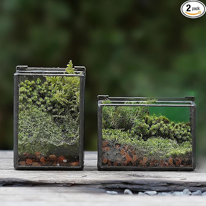 4 Inches Mini Glass Terrarium Set of 2 with Lid - Tiny Rectangle Glass Container Box for Succulents, Air Plants, Fairy Garden, Home Decor (10x7x6cm & 7x6x10cm)