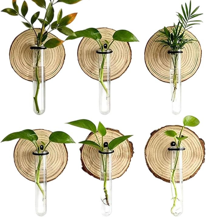 Plant Propagation Station,Wall-Mounted Hydroponic Propagator System Holder | Test Tubes Vase Planter - for Home Office Balcony Terrace Gardening Window Water Women Men Mom