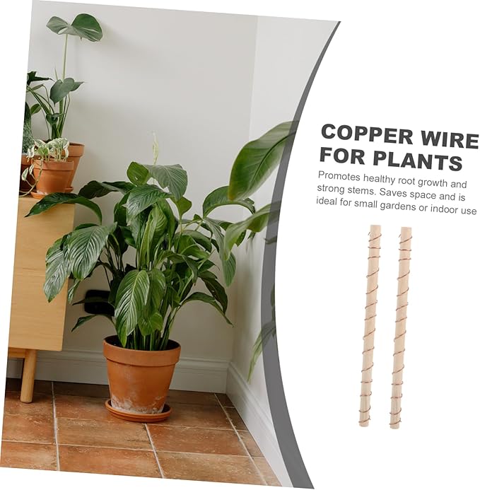 BESPORTBLE 2pcs Copper Wire Antenna Electroculture Gardening for Indoor and Outdoor Plants Lightweight Copper Coil for Signal Reception Suitable for Vegetables and Flowers