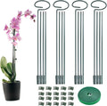 4 Set Metal Plant Sticks Support Tall 48 Inch Adjustable Plants Stem Support Rod Amaryllis Holder Stake Garden Flower Rings with 20PCS Clips 16.5' Plant Ties for Outdoor Indoor Plants