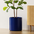 LE TAUCI 12 Inch Pot for Plants, Ceramic Planters for Indoor Plants, Mid-Century Modern Cylinder Flower Pots with Drainage Hole, Fits Fiddle Leaf Fig & Monstera, Home Decor, Midnight Blue