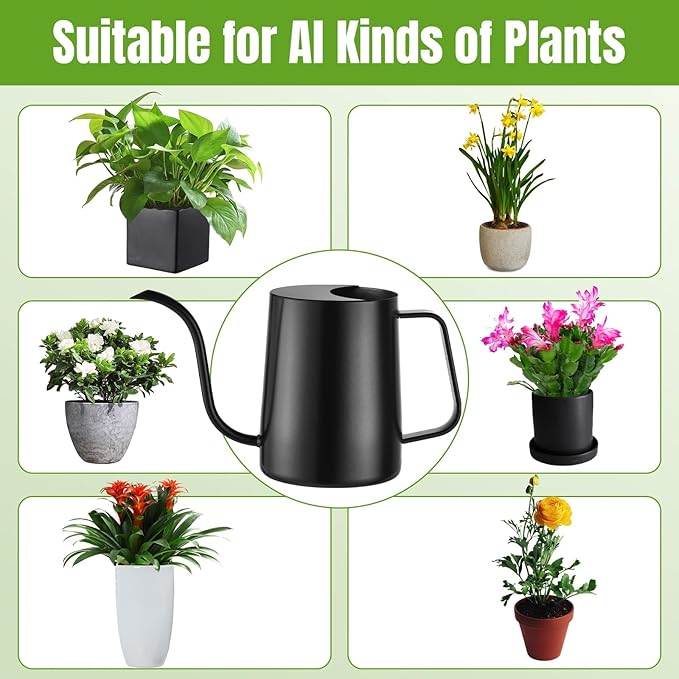 34 oz / 1000 ml Watering Can Indoor Plants, Stainless Steel Plant Watering Can with Long Spout (Black)