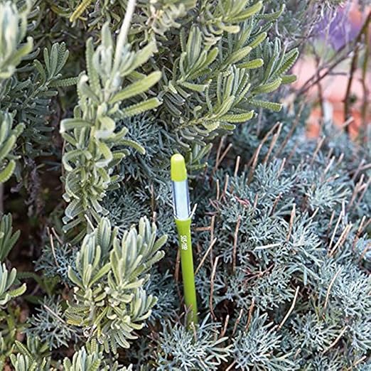 Sustee Aquameter (2 Green, Medium) - Plant Soil Moisture Meter, Monitor, Probe, Indicator - Best for Potted Plants - Package of 2 Sensors