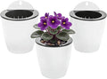 3 Pack Self Watering Wall Hanging Planter Pots Vertical Garden Window Hang Mount Indoor Outdoor Plant Flower Basket for Kitchen Herbs Balcony Railing Shelf Fence Bedroom Trellis Decor Modern White Box