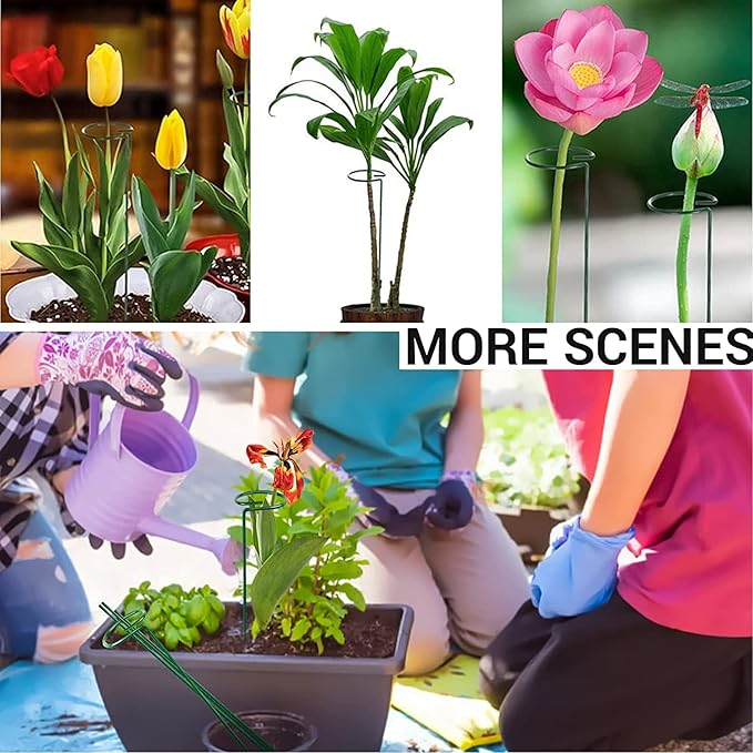 SUNYAY 10 pcs 16 inch Metal Single Stem Flower Plant Support Stakes and Rings for Amaryllis Orchid Lily Sunflower Rose Narcissus
