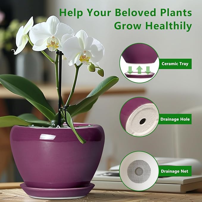 Ceramicfor Ceramic Pots for Plants 6 Inch - Ceramic Plant Pots with Drainage Hole and Saucer, Glaze Round Planter for Succulent Plants, Gifts for Plant Lovers, Garden Home Decor, Purple