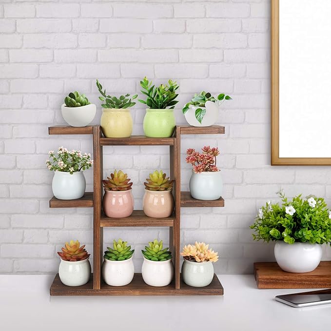 Wood Desktop Plant Stand Indoor Small Windowsill Flower Shelf Tabletop Plant Shelf Holder Display Rack for Succulent Herb in Living Room Office 9 Tiers