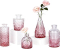 TBWIND Pink Day Glass Bud Vase Set of 5, Small Flower Vases for Centerpieces in Bulk, Mini Vintage Vase for Wedding Decor, Single Flowers, and Home Table Décor