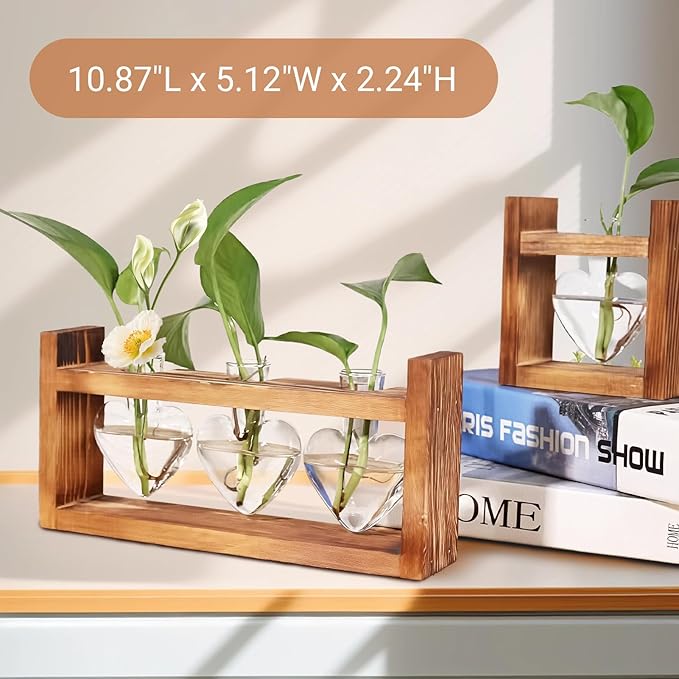 Wooden Base Glass Vase - Plant Holder & Propagation Station for Hydroponic Plants, Desktop Terrarium with Wooden Stand, Stylish Home & Office Décor, Great Gift for Plant Enthusiasts (YMFAX-3B)