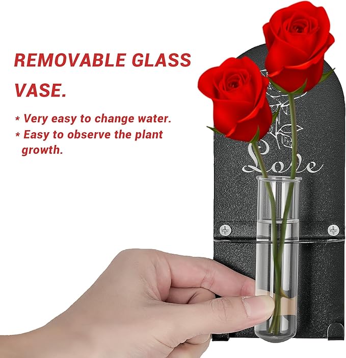 Wall Mount Glass Vase,Glass Plant Propagation Hanging Propagation Station Planters for Wall Decor,Clear Glass on Metal Base,Decorative Hanging Planter for Indoor Hydroponic Propagated Plant Holder （1）