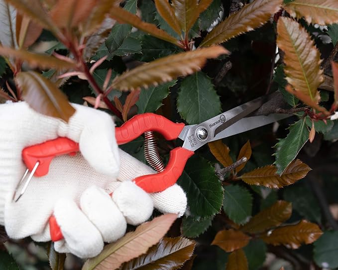 Sanung 2 PACK Multifunctional Thin Fruit Scissors, P-905 Garden Pruner Shears Cutters with Anti-Slip Grip High-Grade Spring Lock Garden Pruner for Garden Fruits Vegetables Plants Flowers